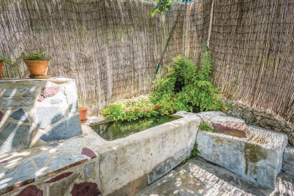 El Manantial Villa Montecorto Dış mekan fotoğraf